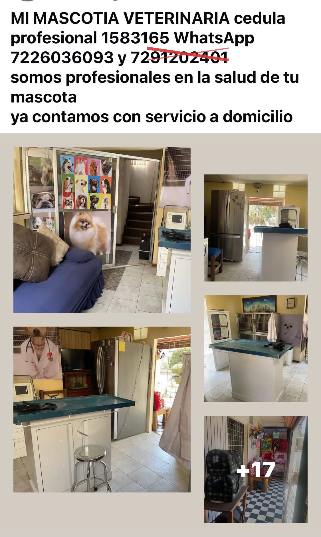 Vacunas
