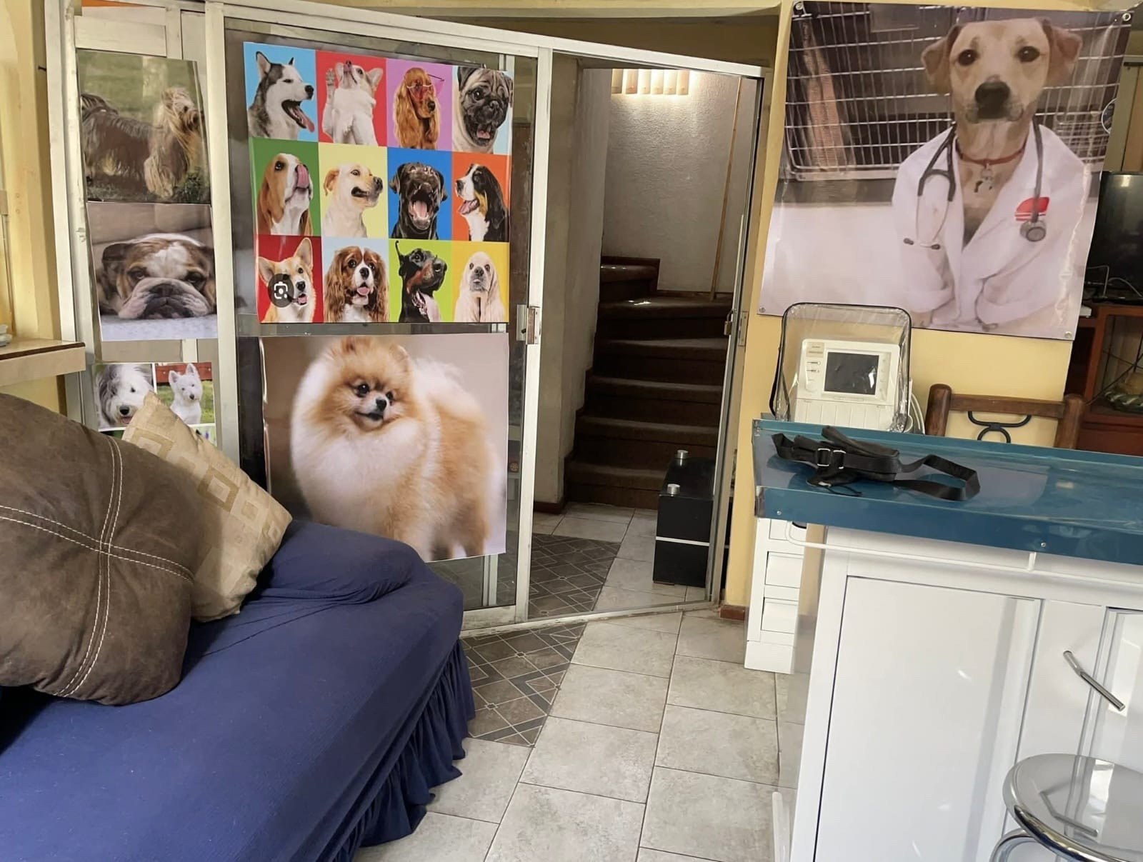 Consultas veterinarias